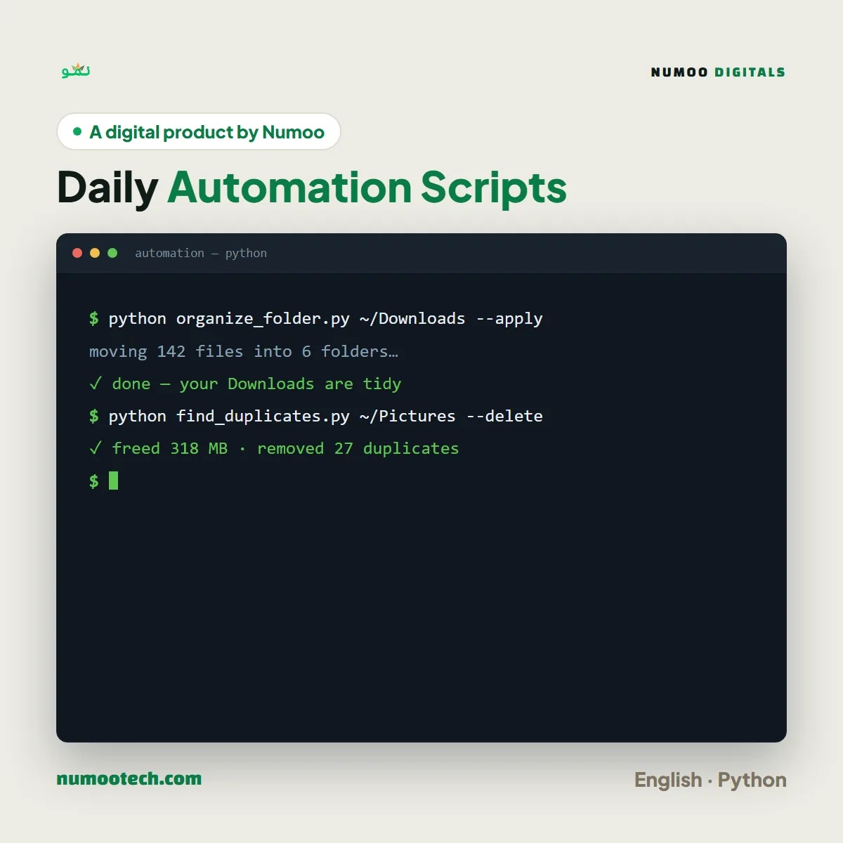 Daily Automation Scripts Pack